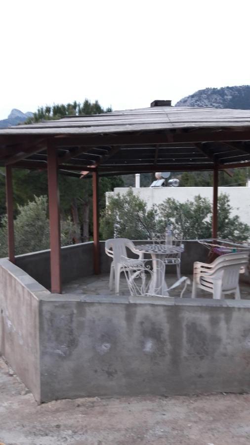 Apartment Krinides Nerotrivia
